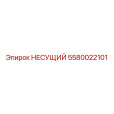 5580022101 НЕСУЩИЙ Epiroc