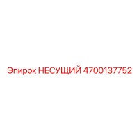 4700137752 НЕСУЩИЙ Epiroc