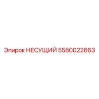 5580022663 НЕСУЩИЙ Epiroc