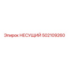 502109260 НЕСУЩИЙ Эпирок