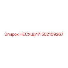 502109267 НЕСУЩИЙ Эпирок