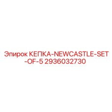 Фото набора из 5 кепок Newcastle Epiroc артикул 2936032730