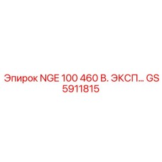 GS5911815 NGE 100 460 V. EXP Epiroc
