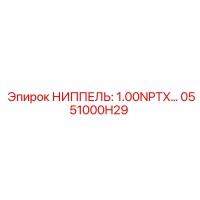 0551000H29 НИППЕЛЬ: 1.00NPTX… Epiroc