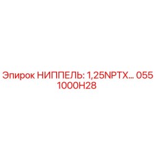 0551000H28 НИППЕЛЬ: 1,25NPTX… Epiroc