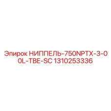 1310253336 НИППЕЛЬ-750NPTX-3-00L-TBE-SC Epiroc