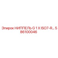 586100046 НИППЕЛЬ G 1 X ISO7-R Epiroc