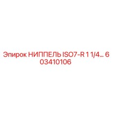 603410106 НИППЕЛЬ ISO7-R 1 1/4… Epiroc