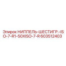 603512403 НИППЕЛЬ-ШЕСТИГР.-ISO-7-R1-50XISO-7-R Epiroc