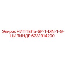 6231914200 НИППЕЛЬ SP-1-DIN-1-G-ЦИЛИНДР Epiroc