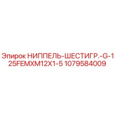 1079584009 НИППЕЛЬ-ШЕСТИГР.-G-125FEMXM12X1-5 Epiroc