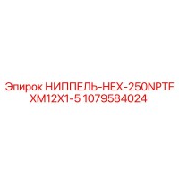 1079584024 НИППЕЛЬ-HEX-250NPTFXM12X1-5 Epiroc