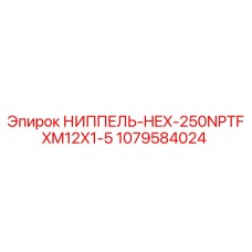 1079584024 НИППЕЛЬ-HEX-250NPTFXM12X1-5 Epiroc