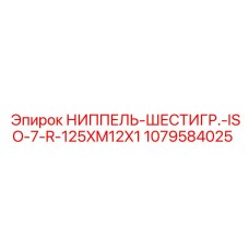 1079584025 НИППЕЛЬ-ШЕСТИГР.-ISO-7-R-125XM12X1 Epiroc
