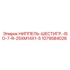1079584026 НИППЕЛЬ-ШЕСТИГР.-ISO-7-R-25XM14X1-5 Epiroc