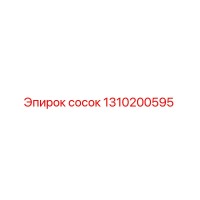 1310200595 Сосок Epiroc