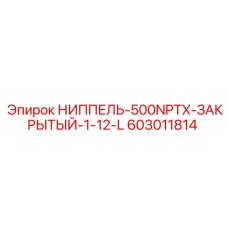 603011814 НИППЕЛЬ-500NPTX-ЗАКРЫТЫЙ-1-12-L Epiroc