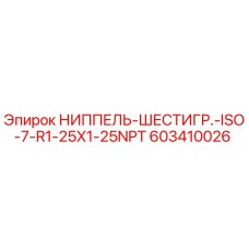 603410026 НИППЕЛЬ-ШЕСТИГР.-ISO-7-R1-25X1-25NPT Epiroc