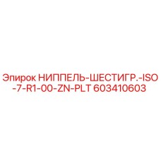 603410603 НИППЕЛЬ-ШЕСТИГР.-ISO-7-R1-00-ZN-PLT Epiroc