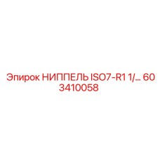 603410058 НИППЕЛЬ ISO7-R1 1/4