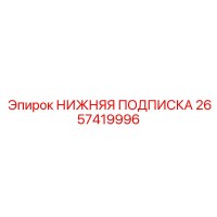 2657419996 НИЖНЯЯ ПОДПИСКА (Epiroc)