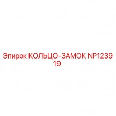 NP123919 КОЛЬЦО-ЗАМОК Epiroc