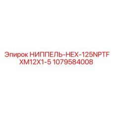 1079584008 НИППЕЛЬ-HEX-125NPTFXM12X1-5 Epiroc