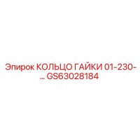 GS63028184 КОЛЬЦО ГАЙКИ 01-230-... Epiroc