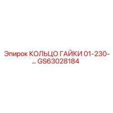 GS63028184 КОЛЬЦО ГАЙКИ 01-230-... Epiroc