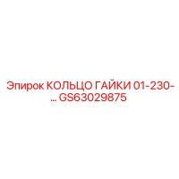GS63029875 КОЛЬЦО ГАЙКИ 01-230-... Epiroc