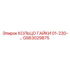 GS63029875 КОЛЬЦО ГАЙКИ 01-230-... Epiroc