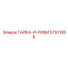 57511958 ГАЙКА-И-РИВИ Epiroc