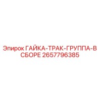 2657796385 ГАЙКА-ТРАК-ГРУППА-В СБОРЕ Epiroc