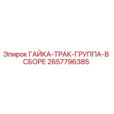 2657796385 ГАЙКА-ТРАК-ГРУППА-В СБОРЕ Epiroc