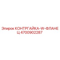 4700902287 КОНТРГАЙКА-W-ФЛАНЕЦ Epiroc