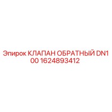 Оригинальный обратный клапан 1624893412 DN100 от Epiroc