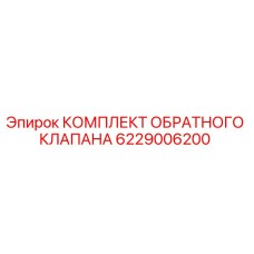 Эпирок КОМПЛЕКТ ОБРАТНОГО КЛАПАНА 6229006200 (Epiroc)