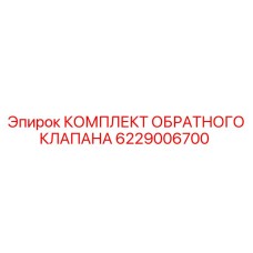 Эпирок КОМПЛЕКТ ОБРАТНОГО КЛАПАНА 6229006700 (Epiroc)