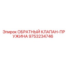 9753234746 ОБРАТНЫЙ КЛАПАН-ПРУЖИНА Epiroc