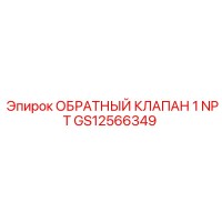 GS12566349 ОБРАТНЫЙ КЛАПАН 1 NPT Epiroc