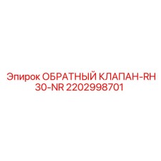 2202998701 ОБРАТНЫЙ КЛАПАН-RH30-NR Epiroc