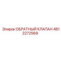 4812272569 ОБРАТНЫЙ КЛАПАН Epiroc
