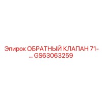 GS63063259 ОБРАТНЫЙ КЛАПАН 71-… Epiroc