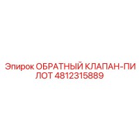 4812315889 ОБРАТНЫЙ КЛАПАН-ПИЛОТ Epiroc