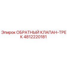 Оригинальный обратный клапан-трек 4812220181 производителя Epiroc