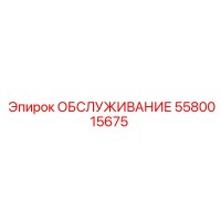 5580015675 ОБСЛУЖИВАНИЕ (Epiroc)