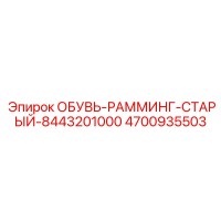 4700935503 ОБУВЬ-РАММИНГ-СТАРЫЙ-8443201000 Epiroc