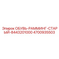 4700935503 ОБУВЬ-РАММИНГ-СТАРЫЙ-8443201000 Epiroc