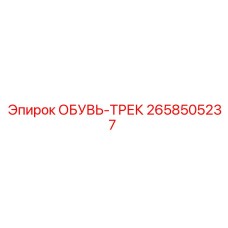 2658505237 ОБУВЬ-ТРЕК Epiroc