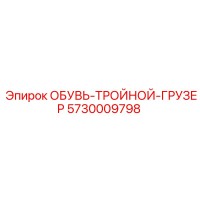 5730009798 ОБУВЬ-ТРОЙНОЙ-ГРУЗЕР Epiroc